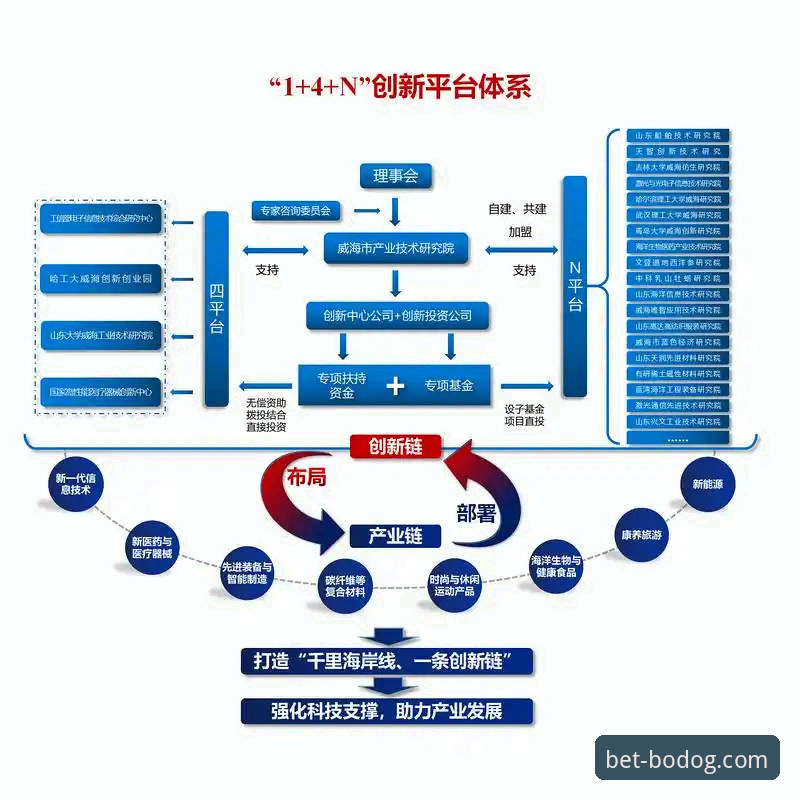 博狗网官方平台快速进入路径与新版体验深度解析